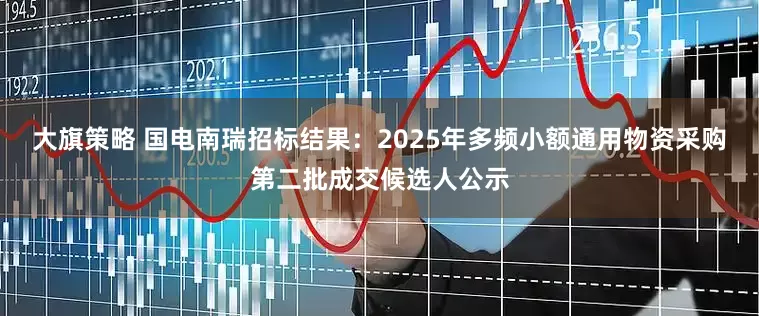 大旗策略 国电南瑞招标结果：2025年多频小额通用物资采购第二批成交候选人公示
