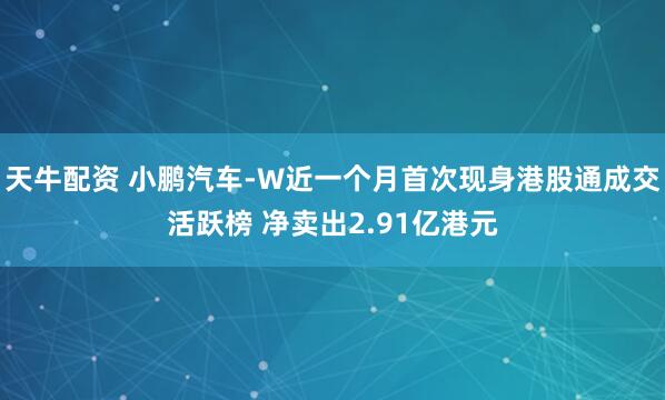 天牛配资 小鹏汽车-W近一个月首次现身港股通成交活跃榜 净卖出2.91亿港元