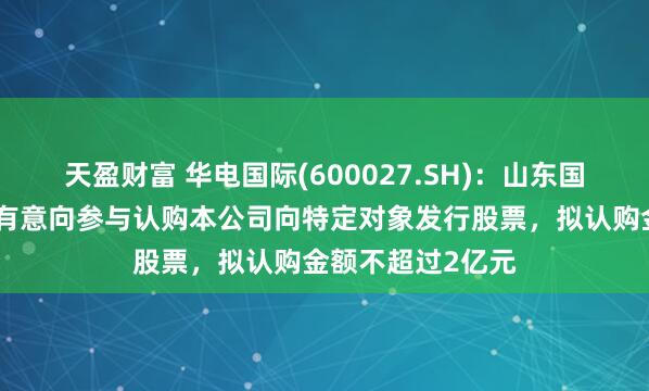天盈财富 华电国际(600027.SH)：山东国惠及其下属公司有意向参与认购本公司向特定对象发行股票，拟认购金额不超过2亿元